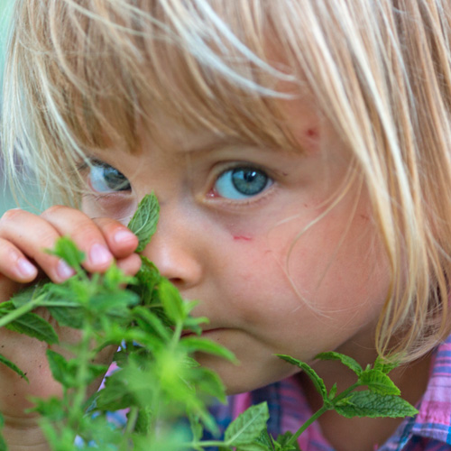 petite fille qui sent des plantes