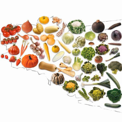 carte de Bretagne des légumes de la Sica coopérative légumière