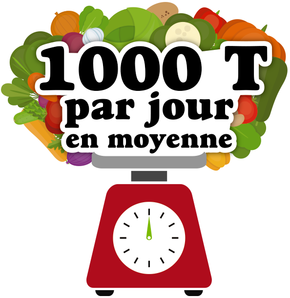Visuel 1000 tonnes par jour en moyenne