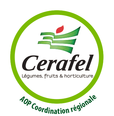 Logo Cerafel Légumes, fruits & horticulture