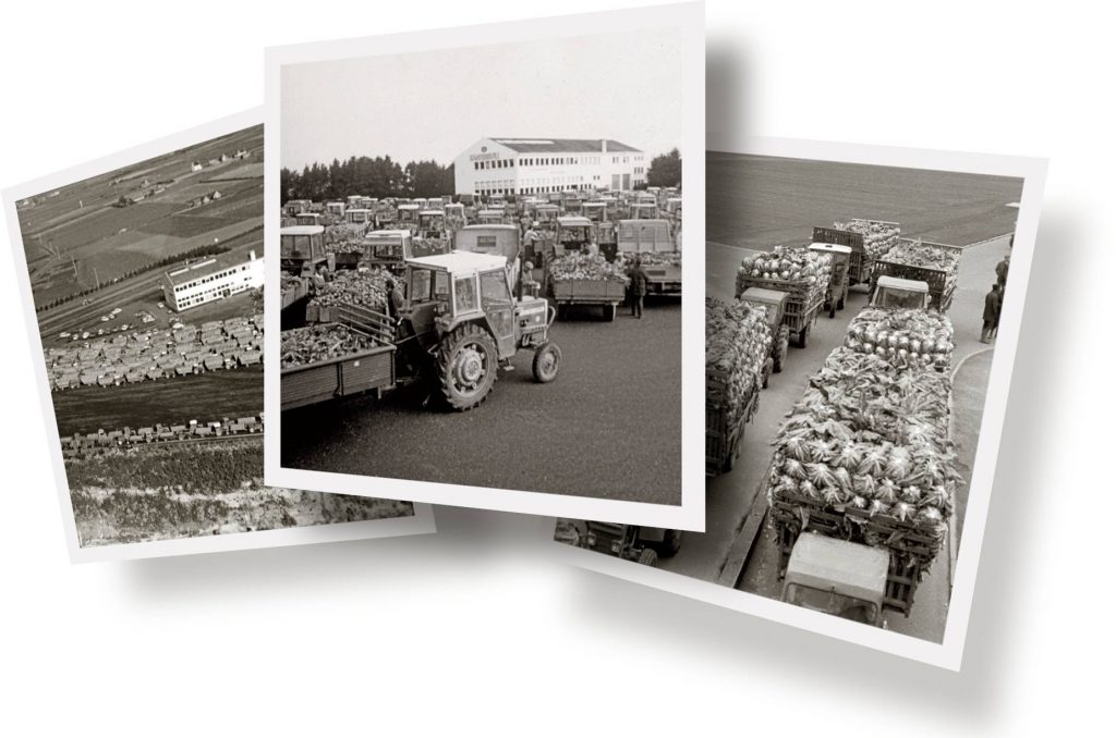 3 photographies de l'époque. Les agriculteurs de la Sica