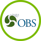 logo OBS