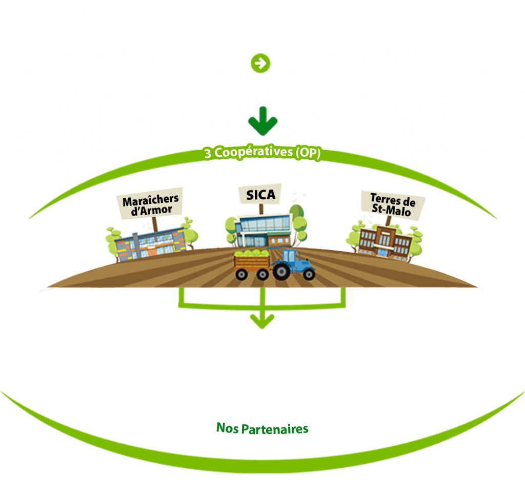coopératives de légumes en Bretagne en finistère