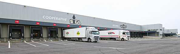 vue des camions Sica Vilar Gren pour l'export des légumes