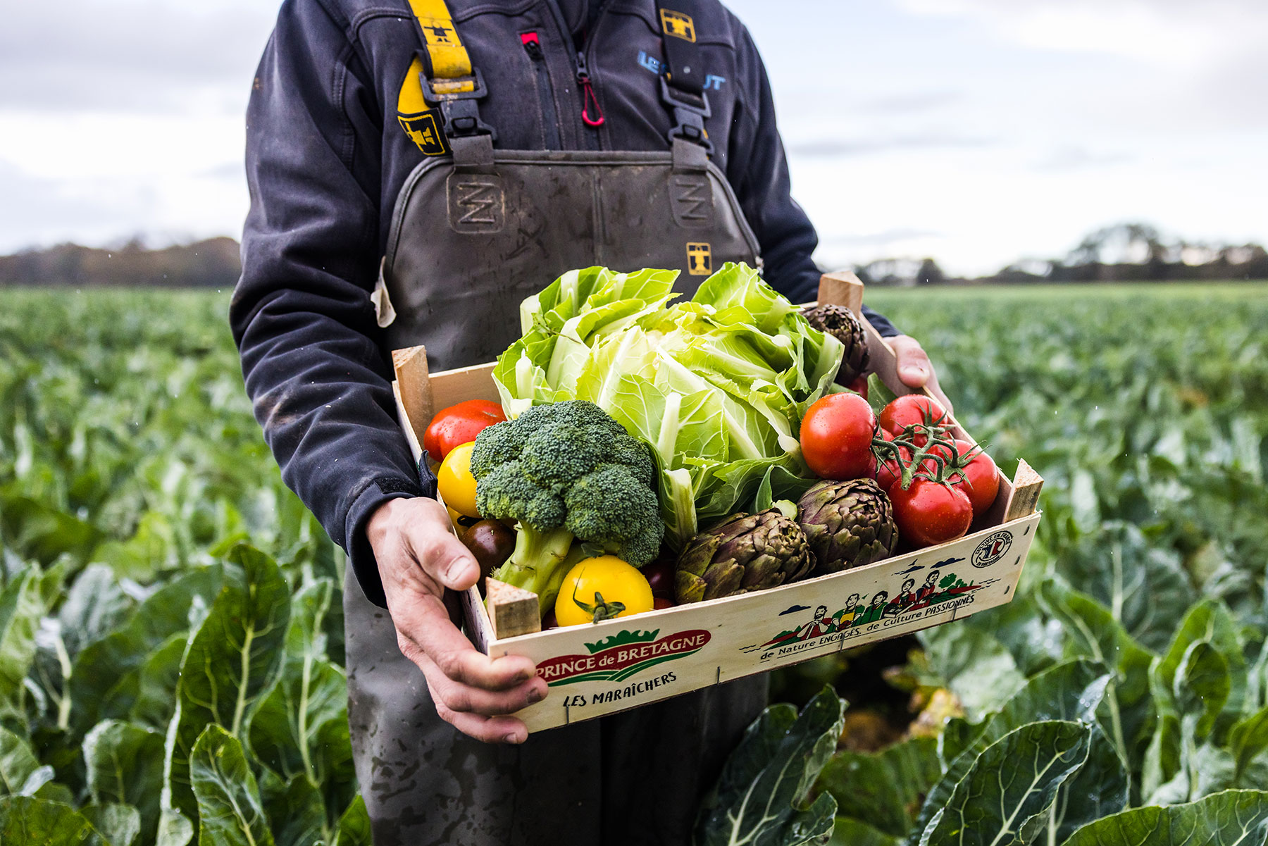assortiment de légumes