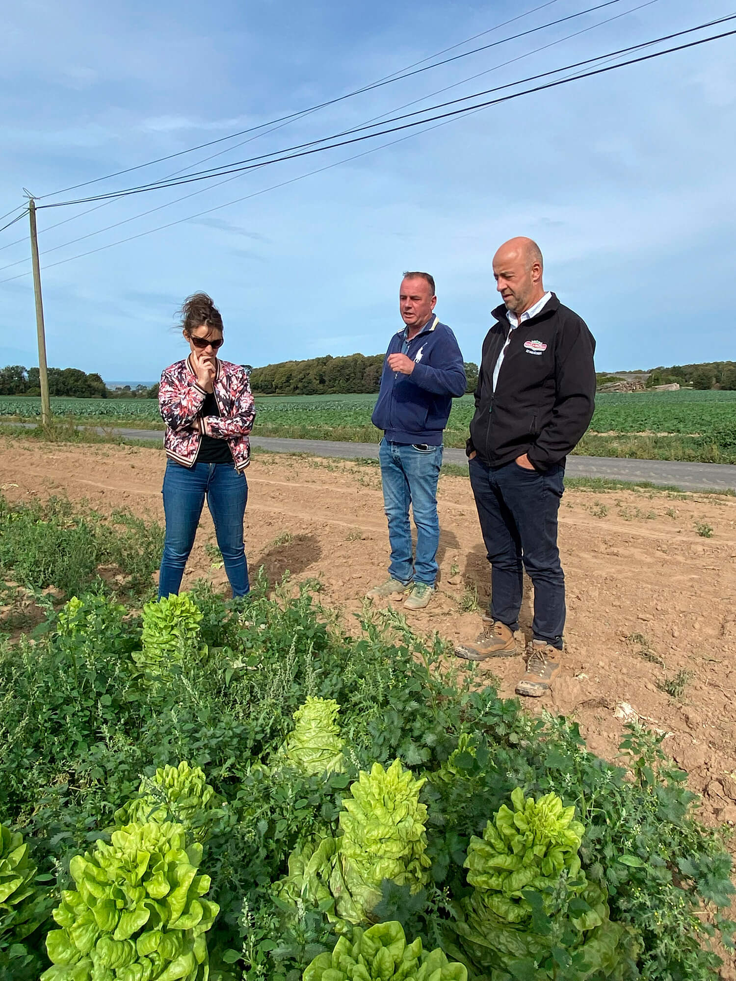Au cœur des enjeux agricoles bretons