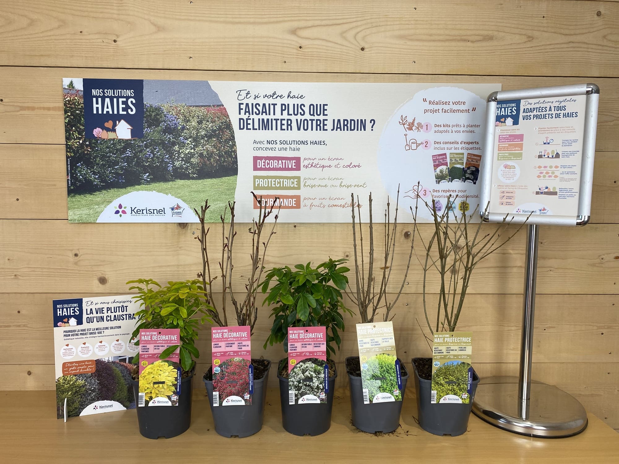 Et si votre haie faisait plus que délimiter votre jardin ?
