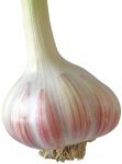 ail-cerafel ail-cerafel