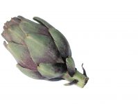 artichaut-violet-cerafel artichaut-violet-cerafel