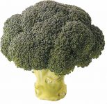 le brocoli sica