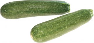 La courgette  Légumes maraîchers Prince de Bretagne