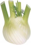 fenouil-cerafel fenouil-cerafel