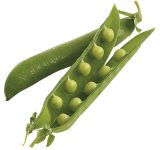 petit-pois-cerafel petit-pois-cerafel