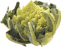 romanesco-cerafel romanesco-cerafel