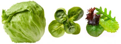 salade salade